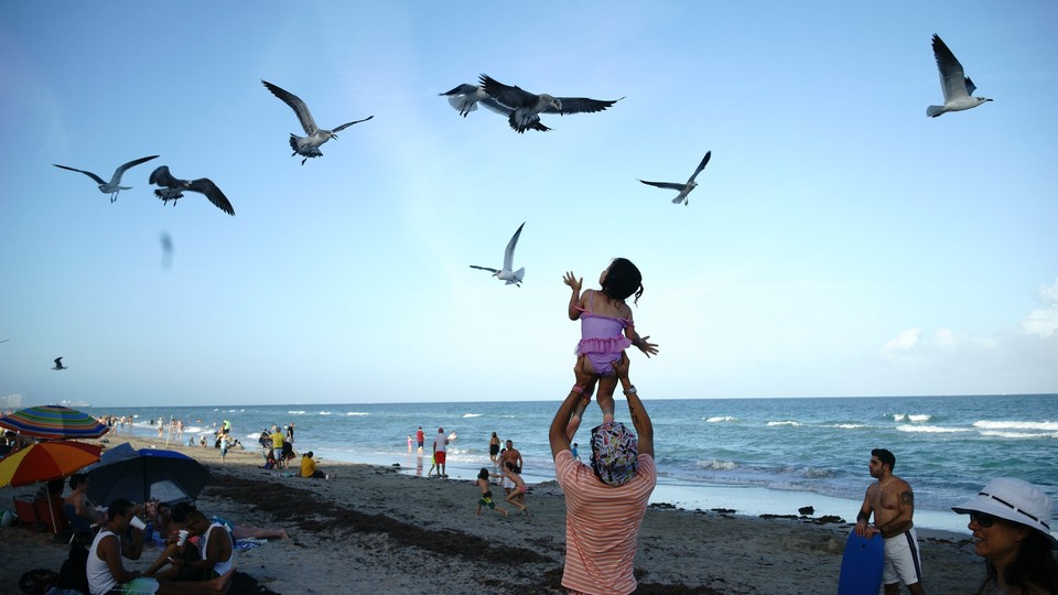 On a beach, a father holds his daughter up above his shoulders, and she looks up at the birds