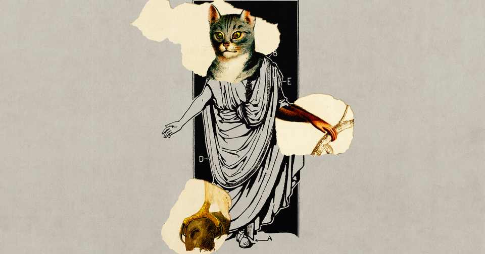 The New Anthropomorphism - The Atlantic