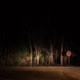 photo of wooded area and stop sign illuminated by car headlights and surrounded by darkness