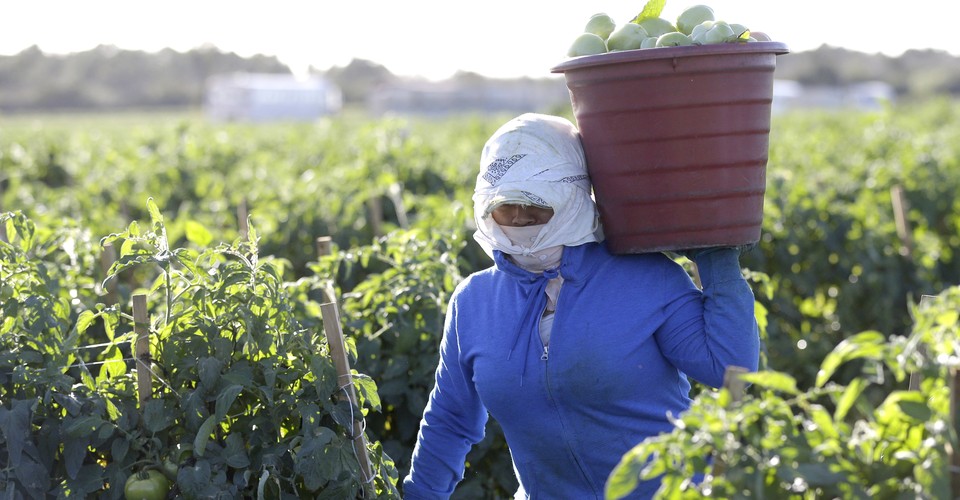 The Agricultural Industry Has A Major Sexual Harassment Problem The Atlantic