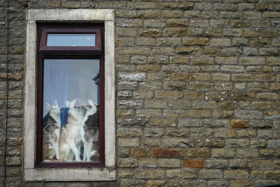 mooiste-fotos-van-de-maand-juni-2021