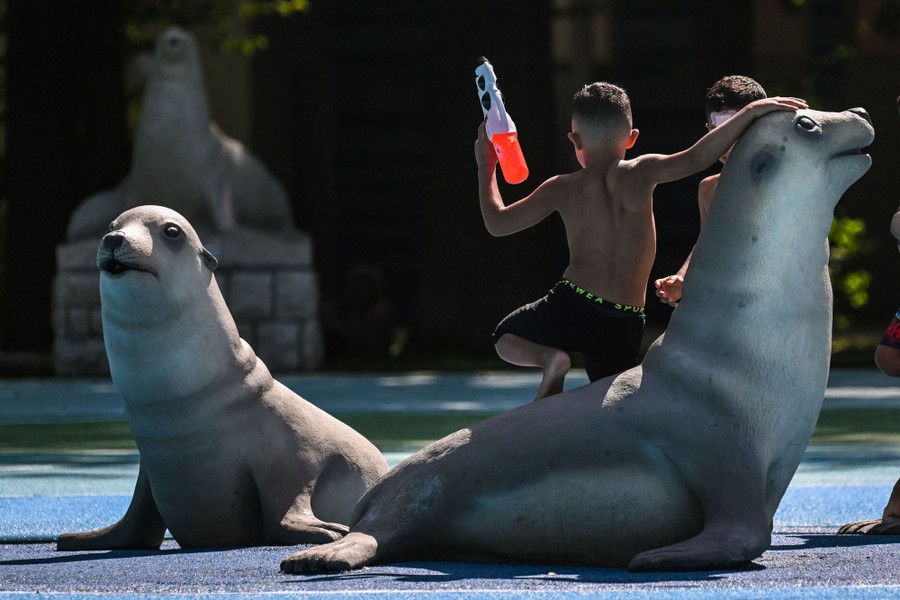 Children play around fountains shaped like sea lions.