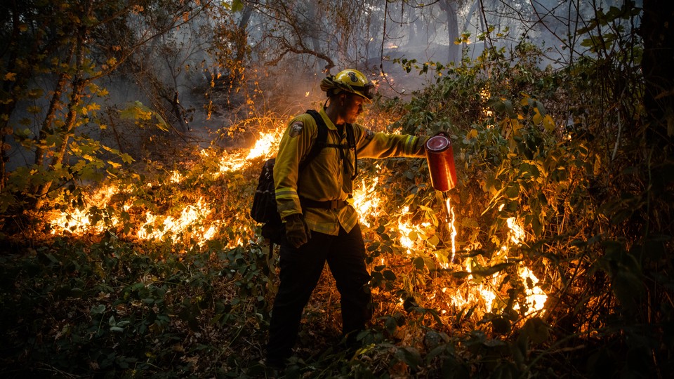 A firefighter lights up dried brush