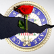 The United States Senate seal splintered down the middle, with a red rose emerging from it