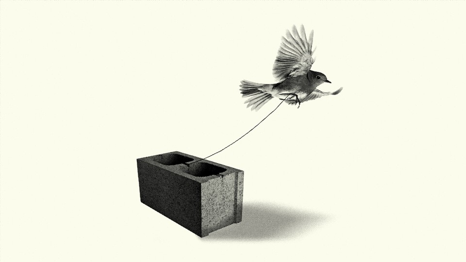 A bird tied to a brick attempts to fly away