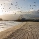 An empty beach with birds flying around