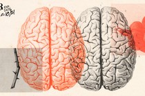 An red-and-black duo-tone illustration of two brains, with images of a flower and thorns overlayed on top of them