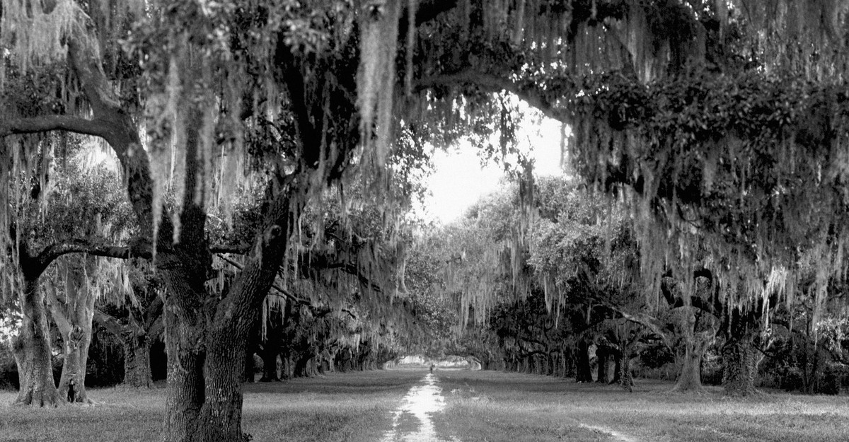 cdn.theatlantic.com image