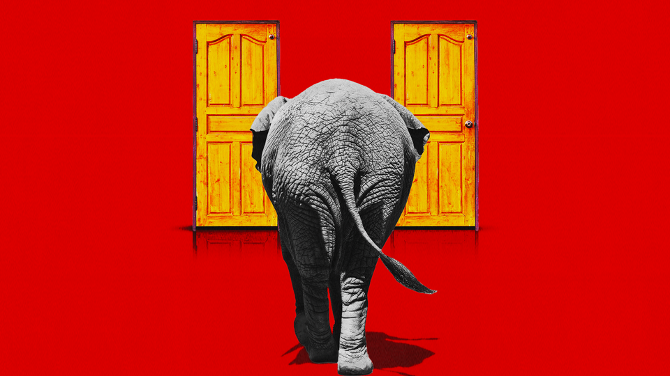 Illustration showing the back of an elephant walking toward a pair of yellow doors