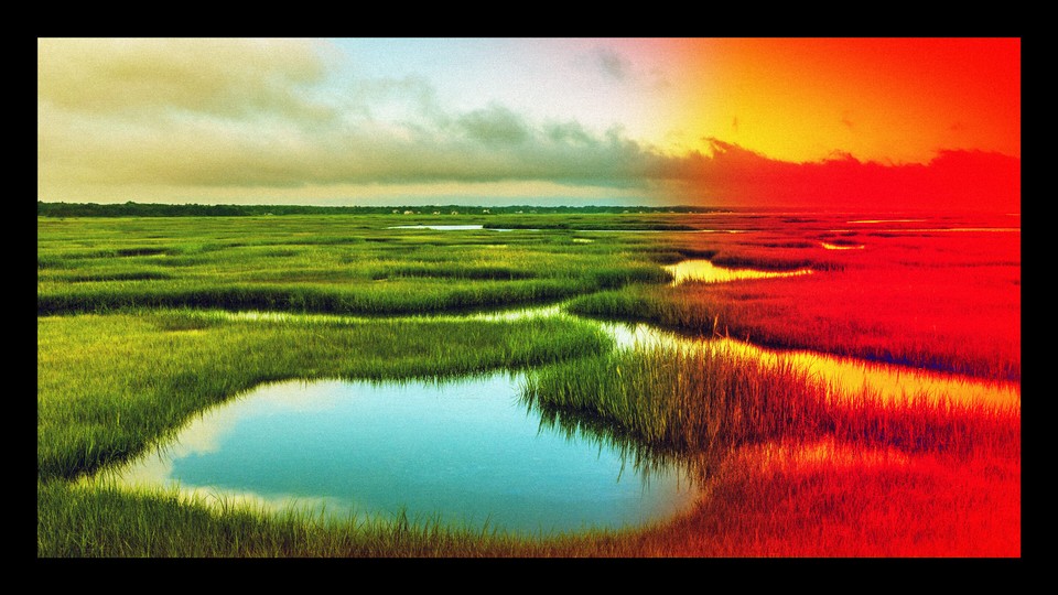 A photograph of a salt marsh -- the right side of the frame is tinged red