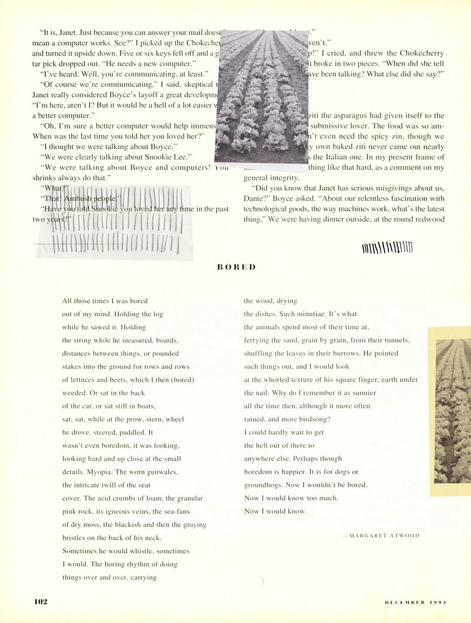 the original magazine page with photos of tally marks and rows of lettuce