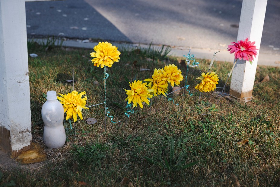 Six yellow flowers and one pink flower growing in grass.
