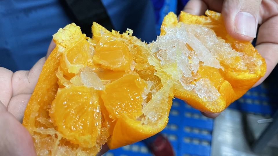 The inside of a frozen orange