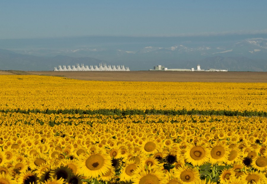 Colorado Images Of The Centennial State The Atlantic
