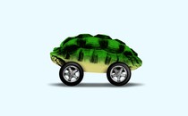 A turtle shell acts as the body of a car