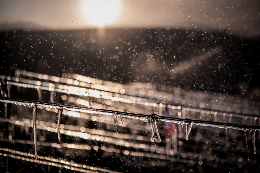 Water is sprayed over a vineyard.