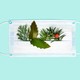 surgical mask with greenery