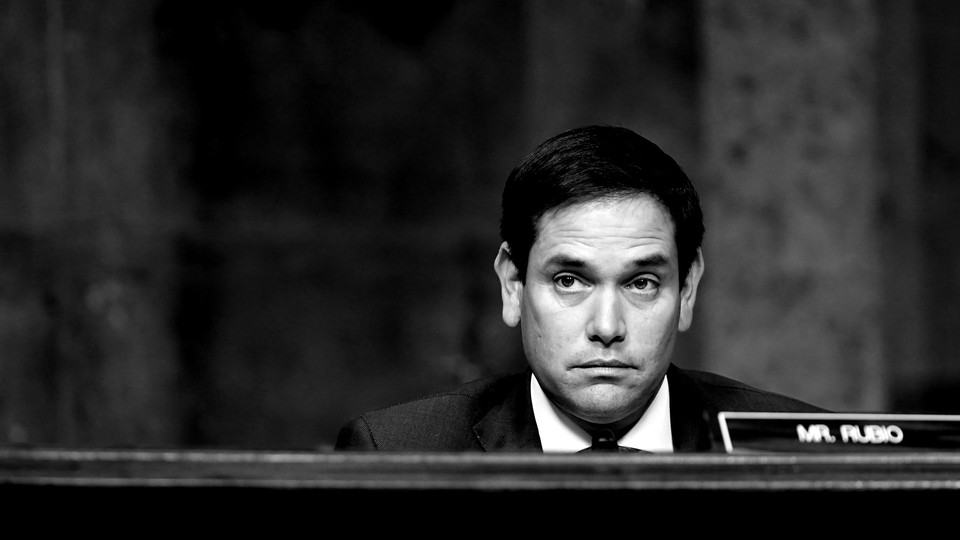 Senator Marco Rubio