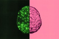 two views of the human brain