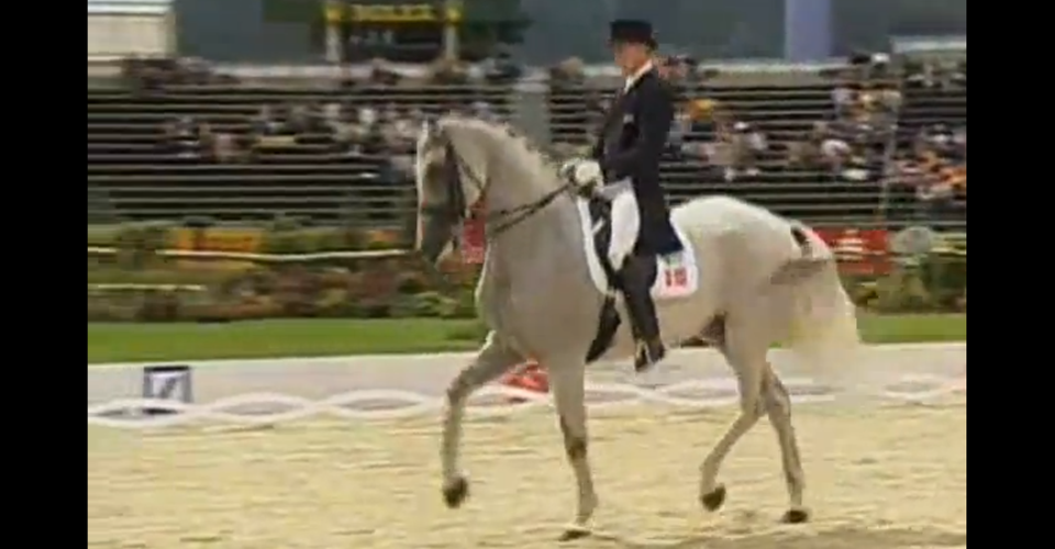 Fauna Hip Hop Dressage The Atlantic