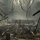 A firefighter stands in the middle of a burnt forest