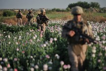 Members of the U.S. military walk through an opium poppy field in Helmand province, Afghanistan, in 2011. Nearly a decade into the war in Afghanistan, opium poppies are still the major crop for many farmers and a big source of income for the Taliban despite expensive efforts to stamp out cultivation.