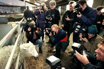 Dolly surrounded by a flock of photographers 