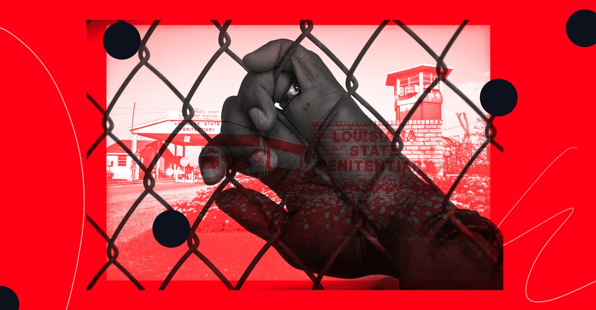NextImg:Trapped With COVID