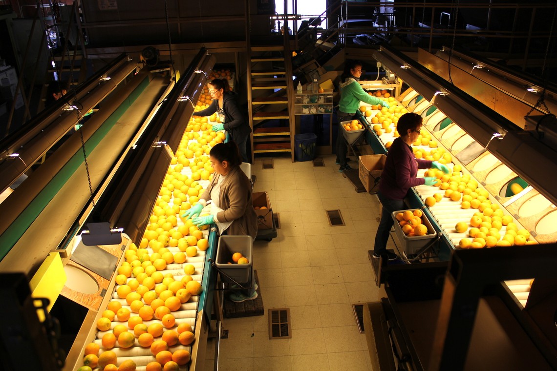 Inside the Packing House The Atlantic