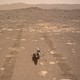 The Ingenuity helicopter on the surface of Mars