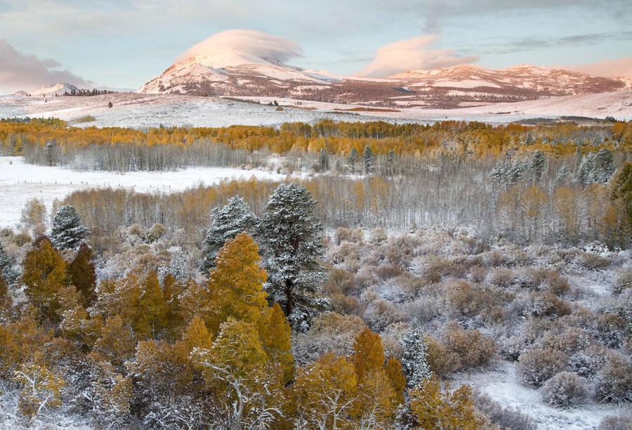 Early snow lies on autumn-colored trees in a mountainous area.