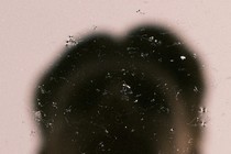 a blurry silhouette of a man