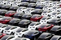 A field of Teslas