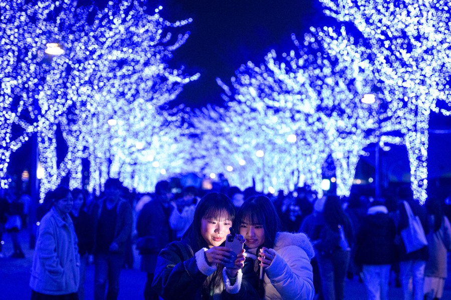 People take pictures among illuminated trees at night.