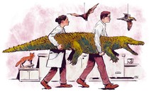 An illustration of two scientists carrying an alligator