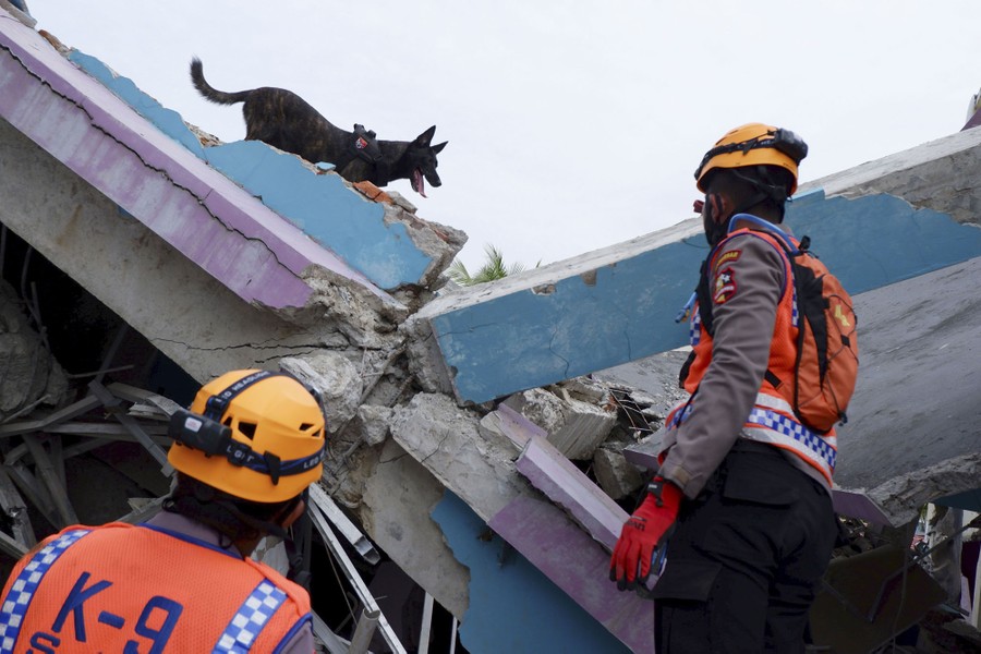 Two rescue workers look up toward a search dog that is walking atop the rubble of a collapsed building.