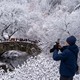 A person takes a photo in New York City's Central Park, where bare trees all covered in fresh snow, and people are walking over a stone arch bridge.
