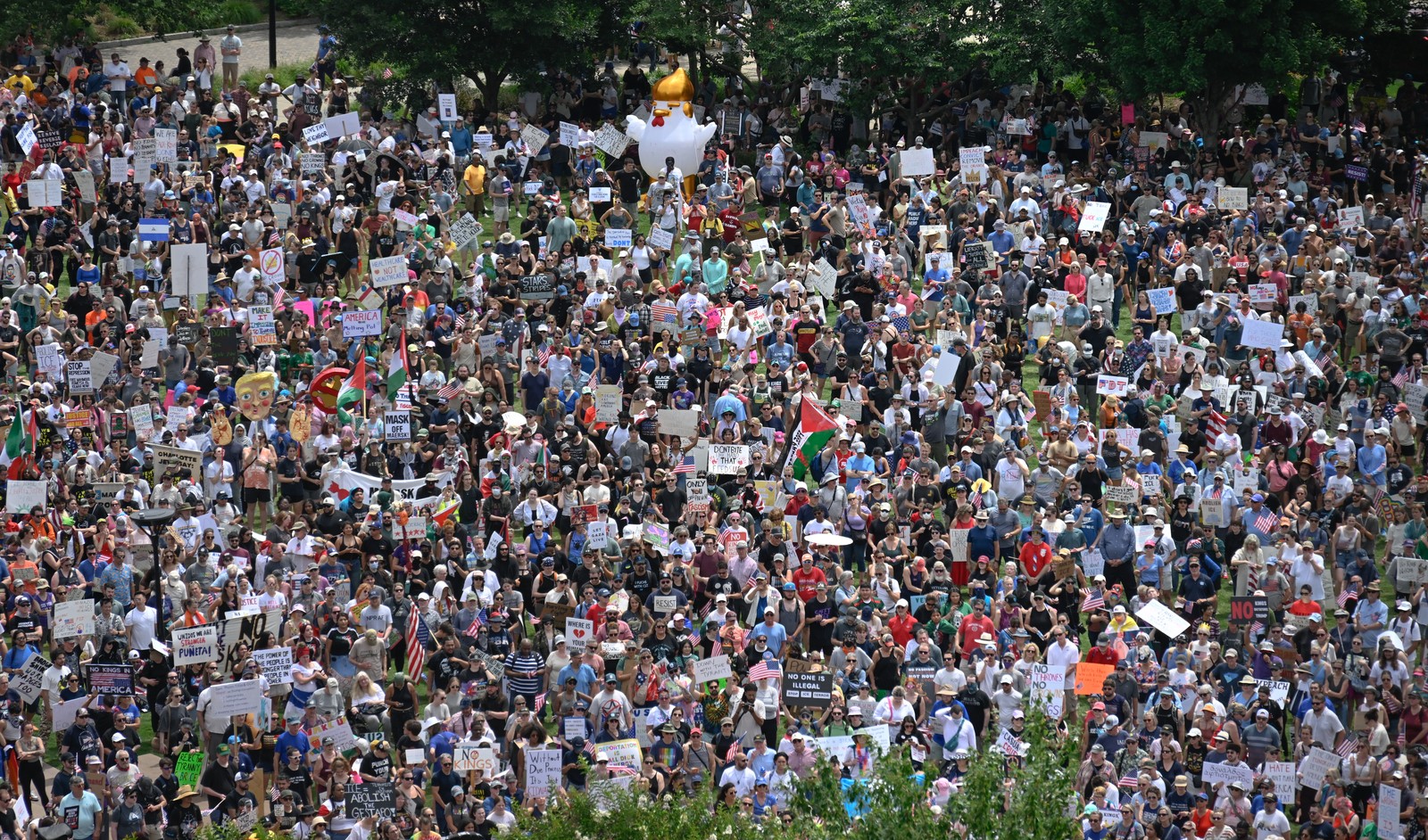 An elevated view of a large crowd of protesters
