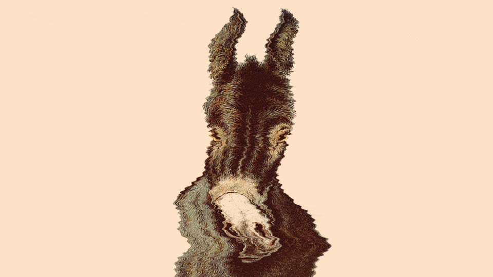 Illustration of a donkey