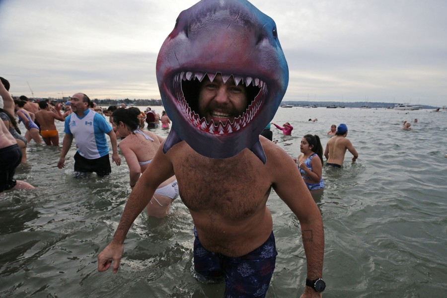 A swimmer wears a shark mask, among other swimmers, in shallow water.