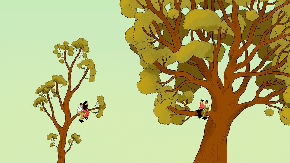 illustration of two couples sitting in trees