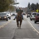 A person rides a horse down the median of a busy street, carrying a sign that reads "Vote."