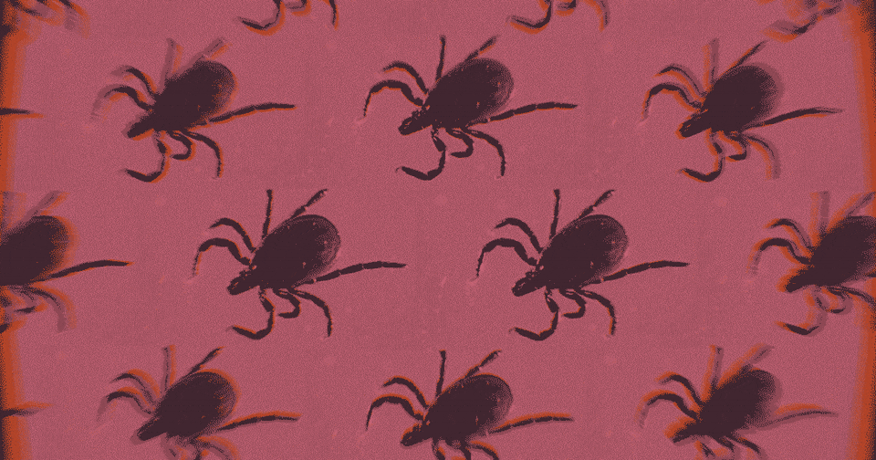 Kill the Ticks
