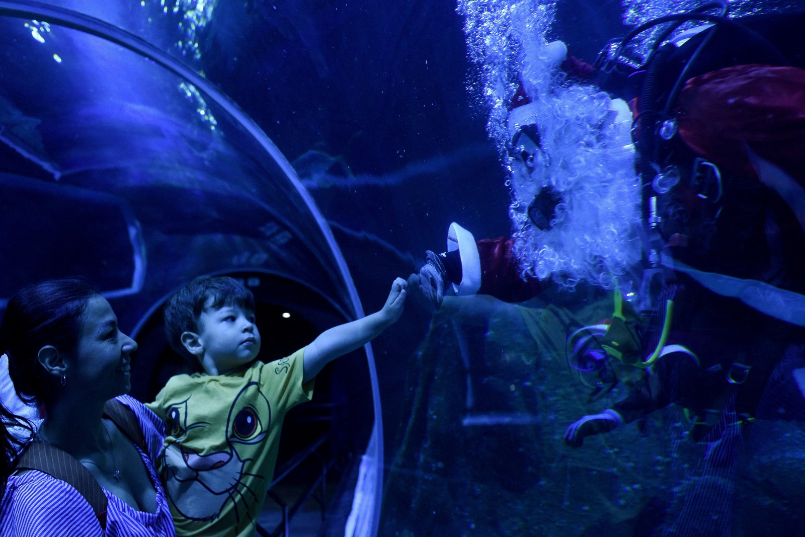 A child touches the glass of a large aquarium, as he looks at at a person dressed as Santa Claus who is scuba diving on the other side of the glass.