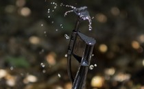 Picture of a sprinkler system providing water to plants and trees at Cadiz Farms