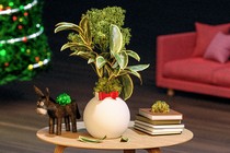 illustration of several unwrapped presents