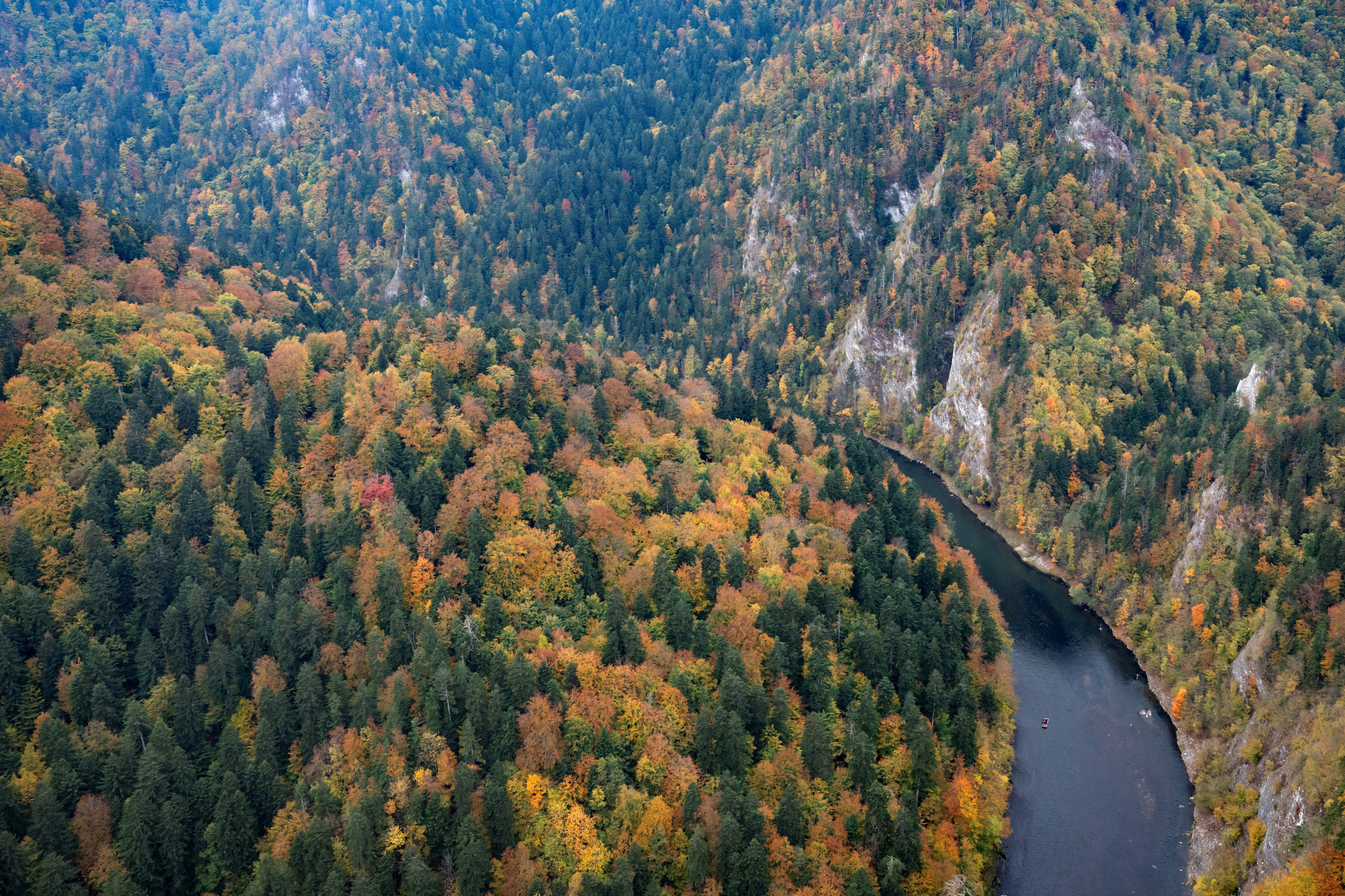 An elevated view of people rafting on a river in a steep valley, surrounded by trees in fall colors