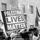 Protest signs reading "Palestinian lives matter" and "Black lives matter."