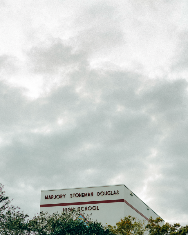 photo of building with "Marjory Stoneman Douglas High School" on it, behind trees against cloudy gray sky