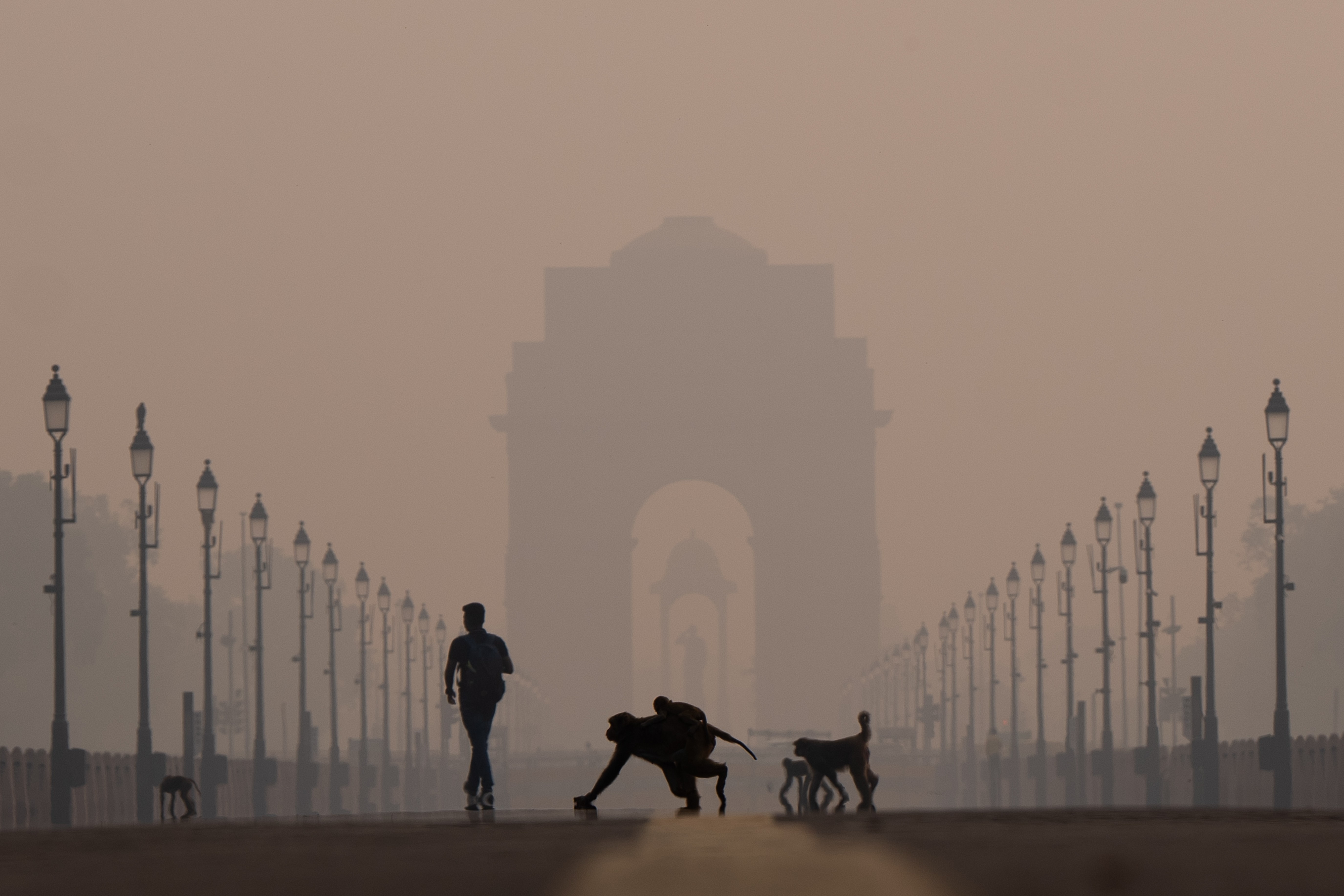 Silhouettes of people and monkeys, seen against a very smoggy sky and a monument gate in the hazy distance
